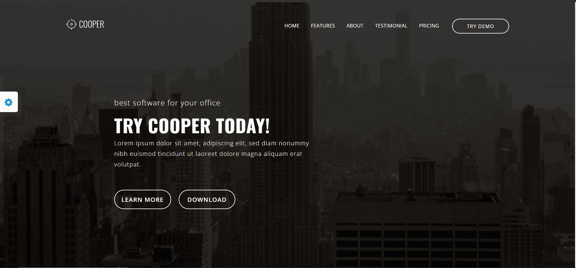 WordPress Custome Website